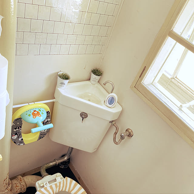 coroさんの実例写真