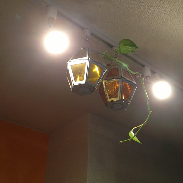 maimaiさんの実例写真