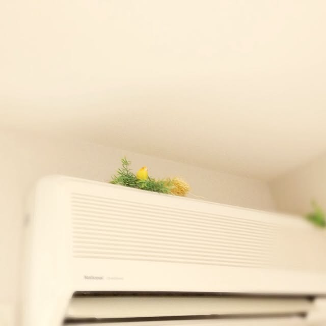 reincoさんの実例写真