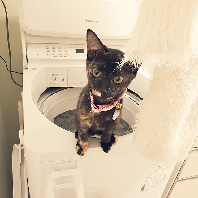 Rinさんの実例写真