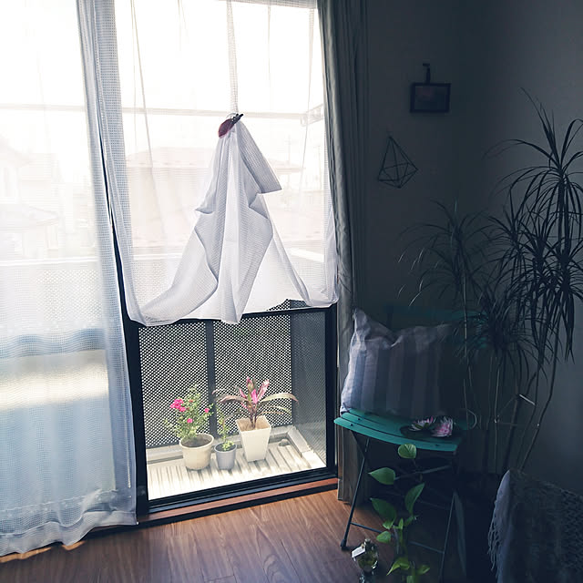 Noriさんの実例写真
