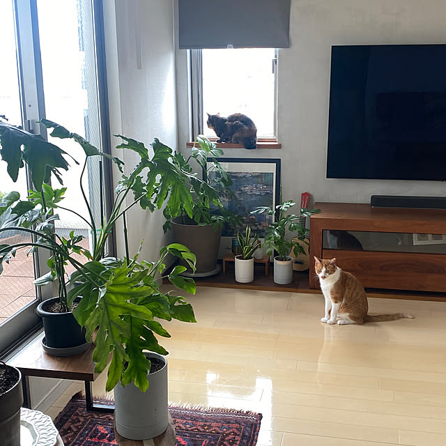 y.さんの実例写真