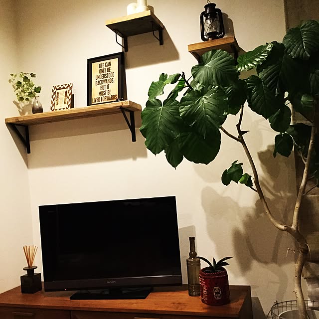 soraoさんの実例写真
