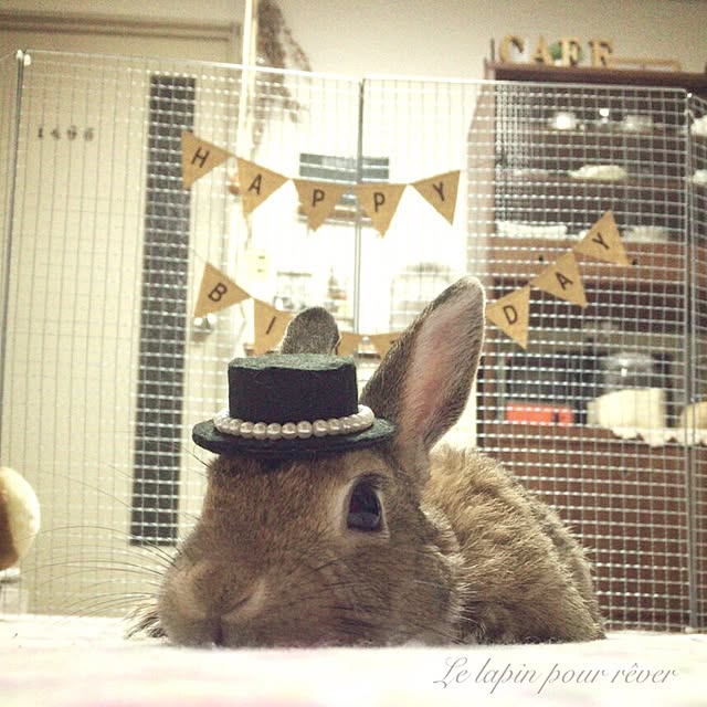 mashiさんの実例写真
