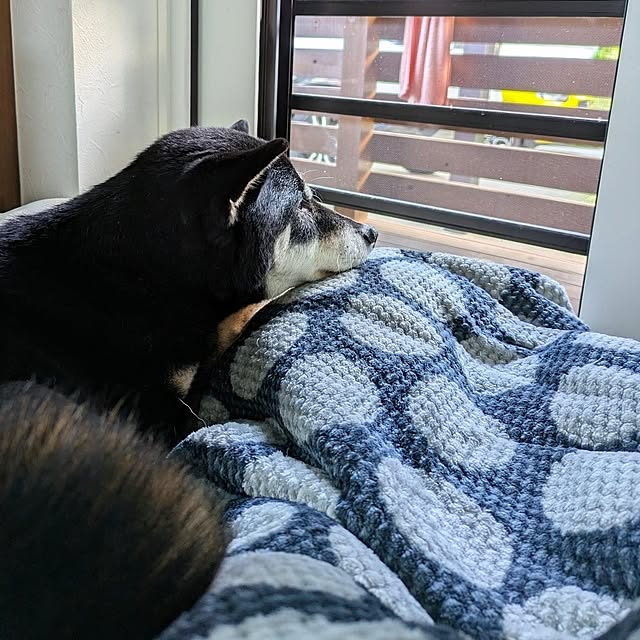 ponhanaさんの実例写真