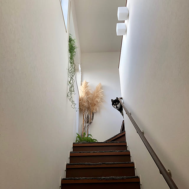 nuruiさんの部屋