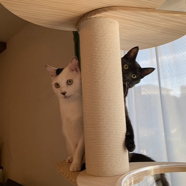 ma.さんの実例写真