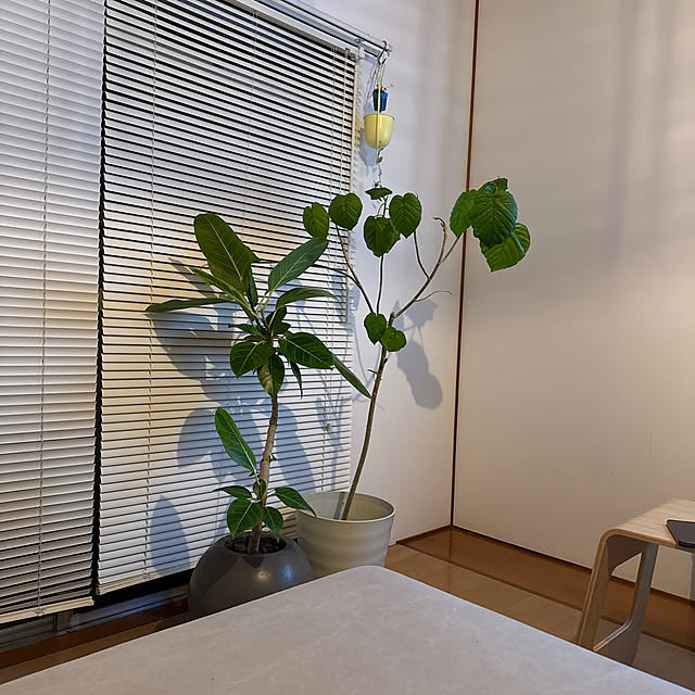 kokinさんの実例写真