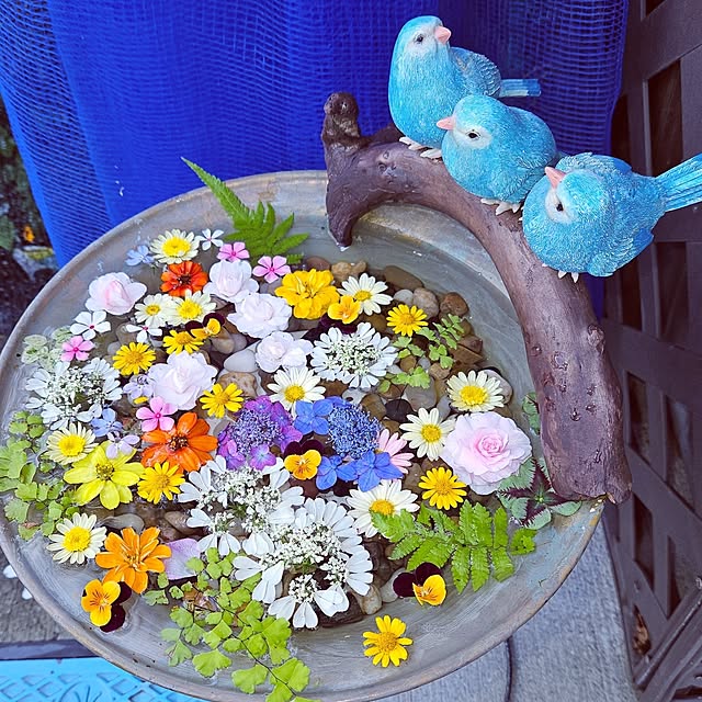mocomocoさんの実例写真