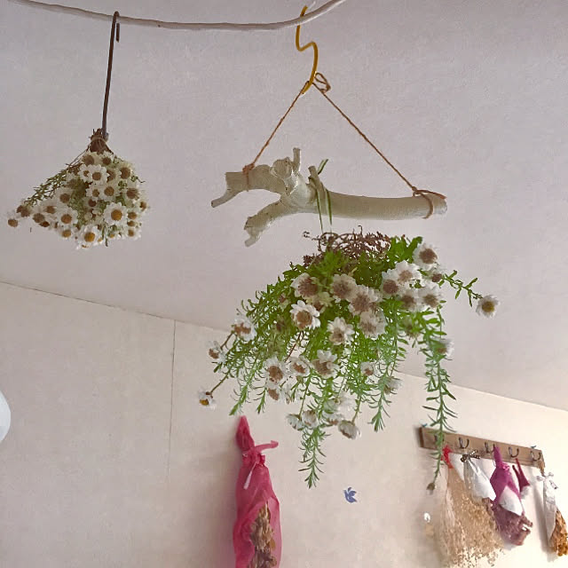 takakoさんの実例写真