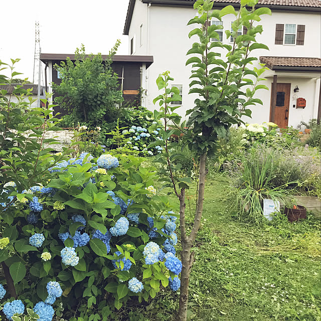 TOROさんの実例写真