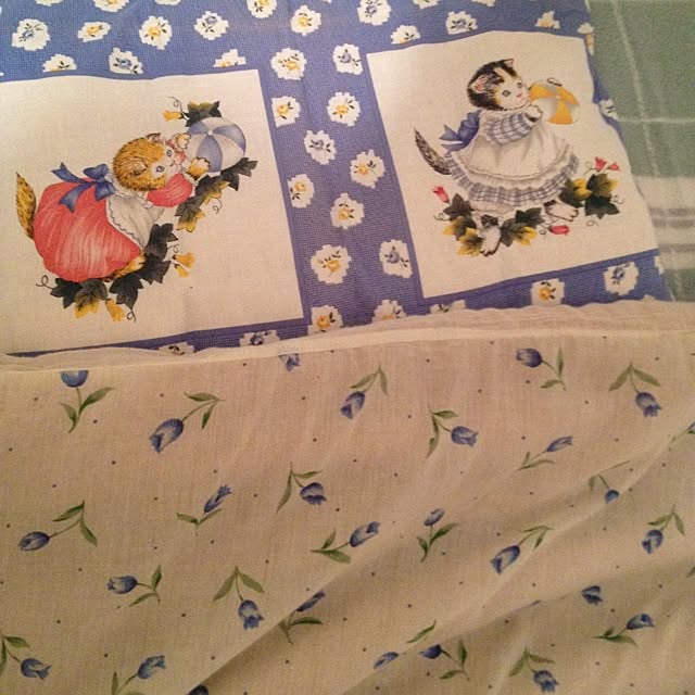 pluginstardustさんの実例写真