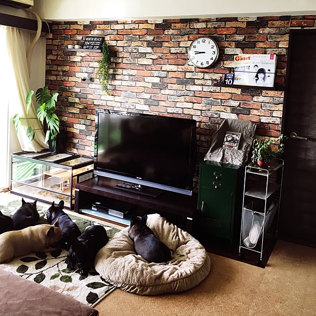 oggy0301さんの実例写真