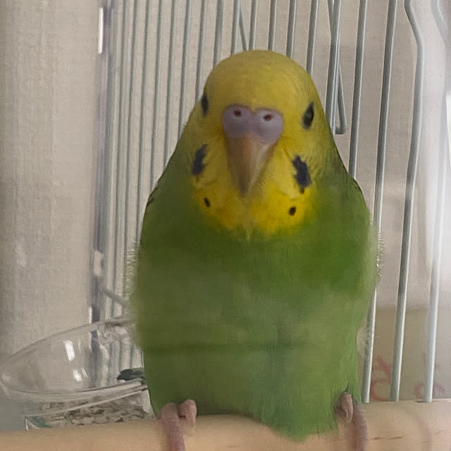 ohanaさんの部屋