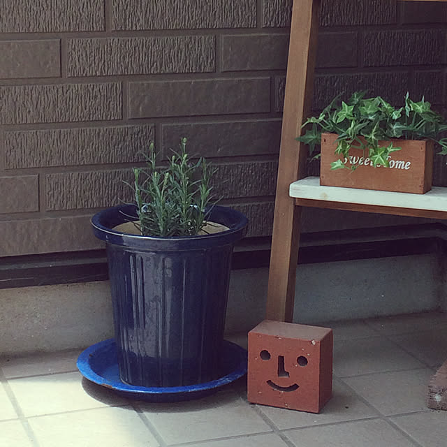 kotaさんの実例写真
