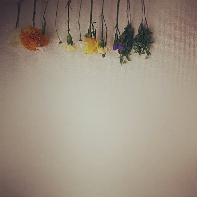 kochiさんの実例写真