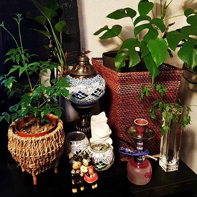 ginkoさんの実例写真