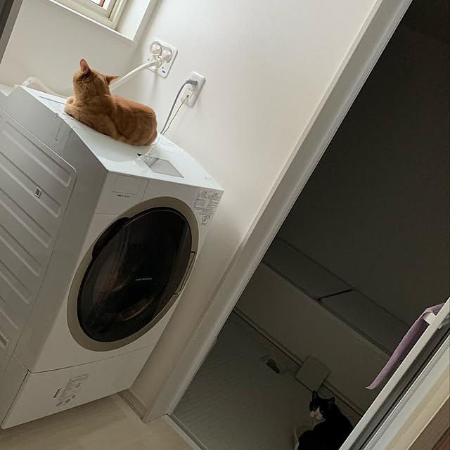 mikeume7さんの実例写真