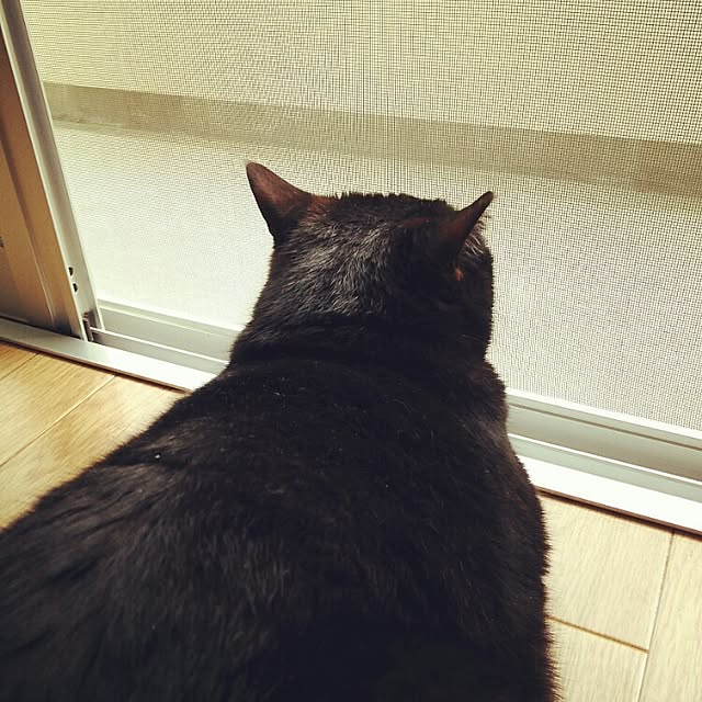 ayanoonさんの実例写真