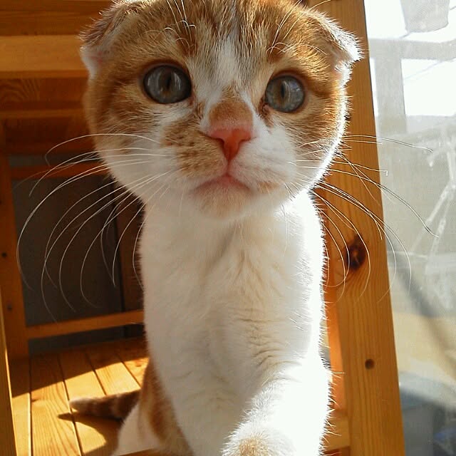 mikiさんの実例写真