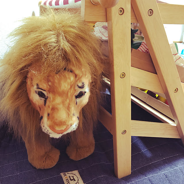 kotaさんの実例写真