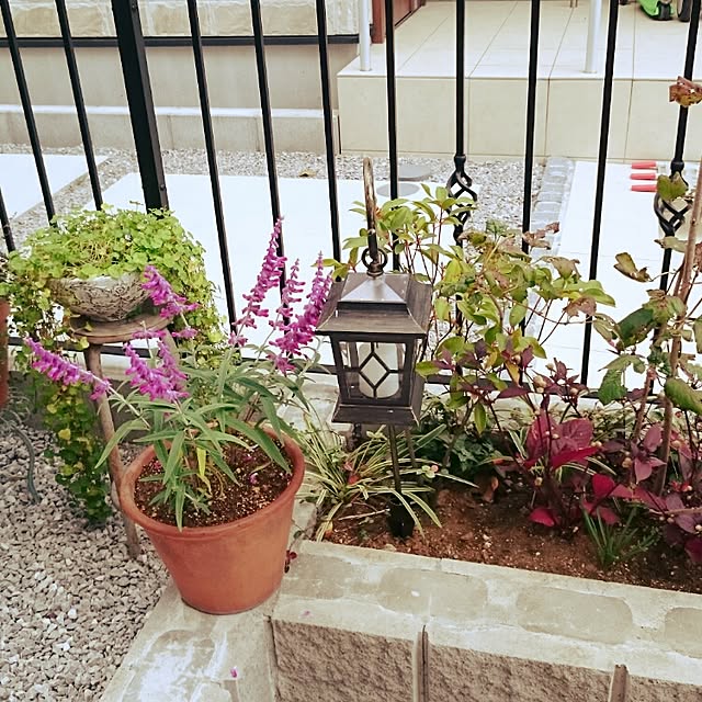 Masamiさんの実例写真