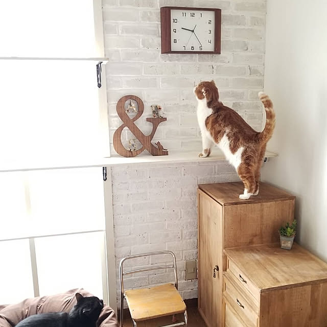 mikiさんの実例写真