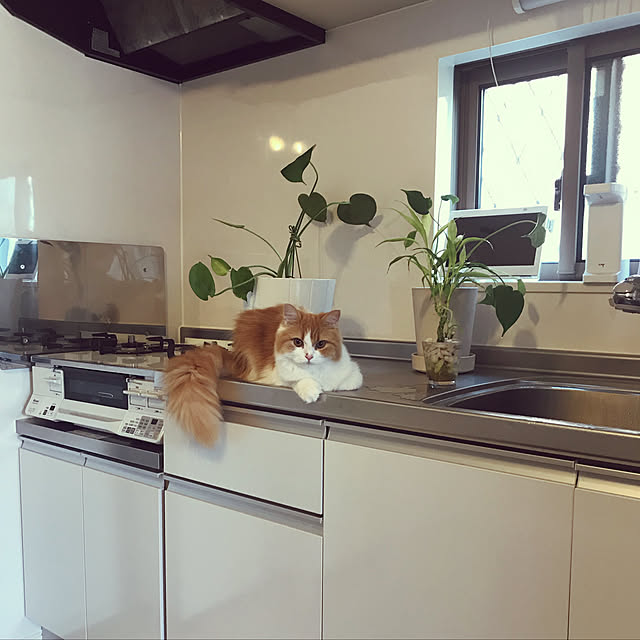 H.Tさんの実例写真
