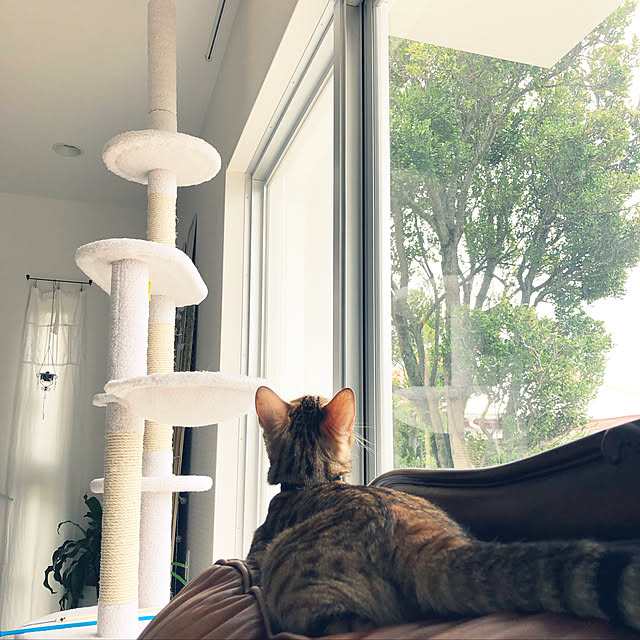 iranさんの実例写真