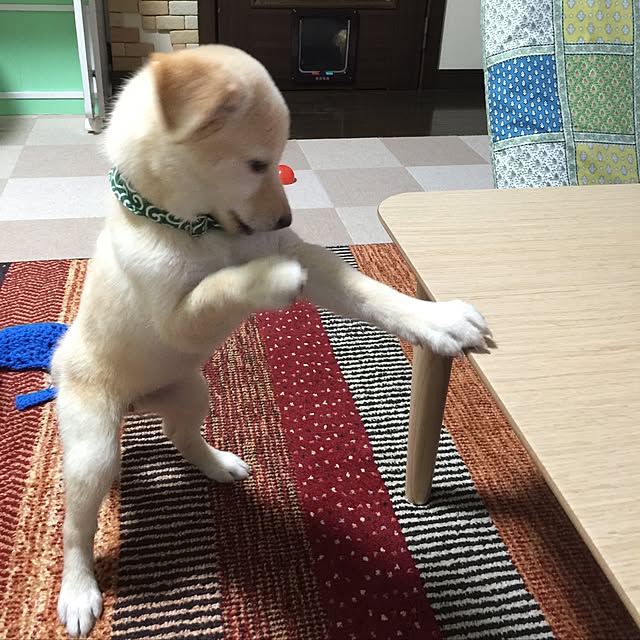 mtkさんの実例写真