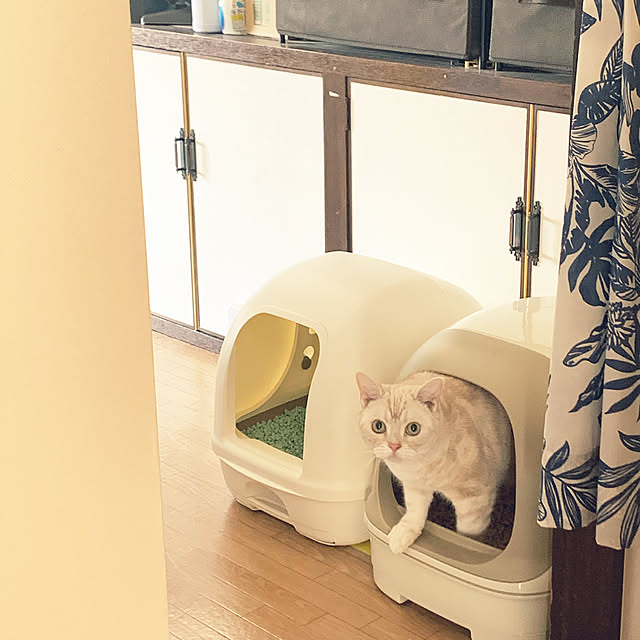sirasu.nさんの実例写真