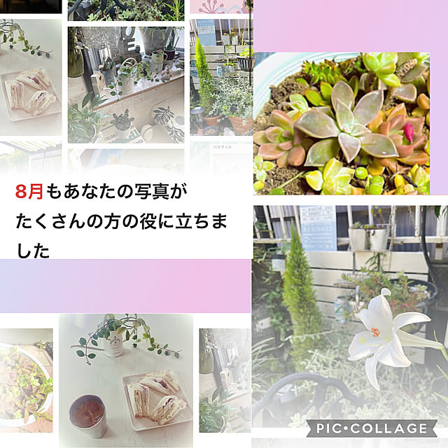 burgundy.roseさんの実例写真