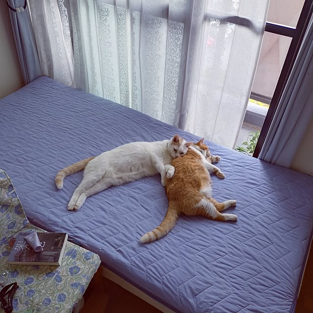NOAHさんの部屋