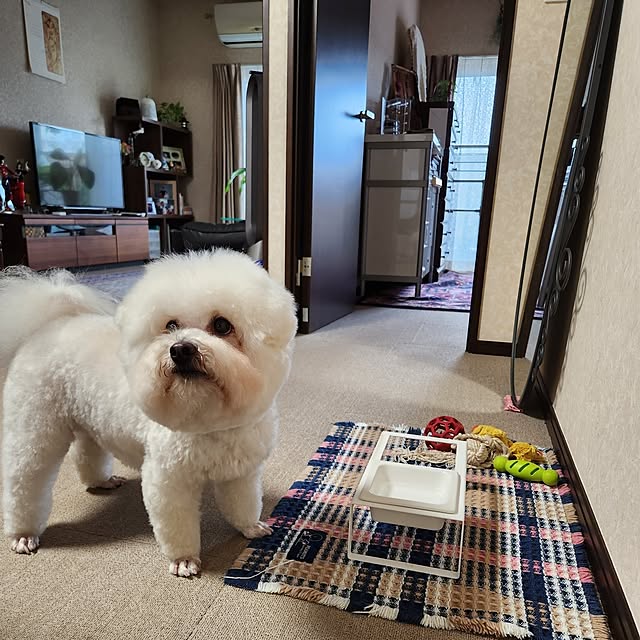 takoさんの部屋