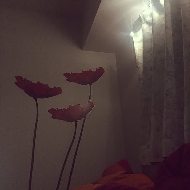 smnさんの実例写真