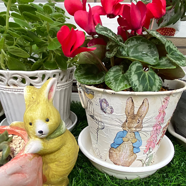 YuuKoさんの部屋