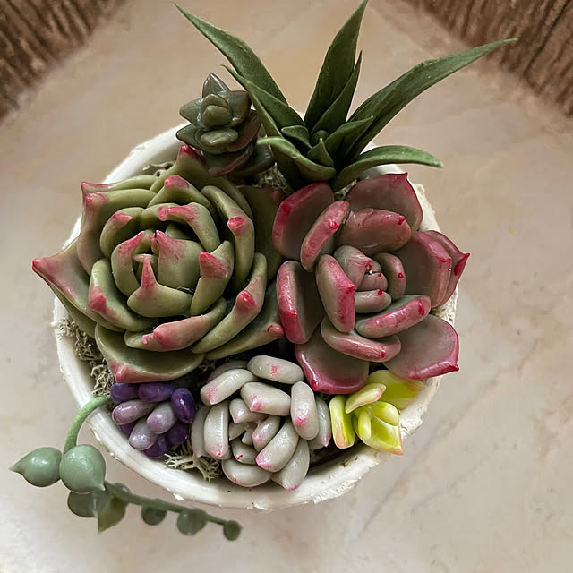 yoko_petitbonheurさんの部屋