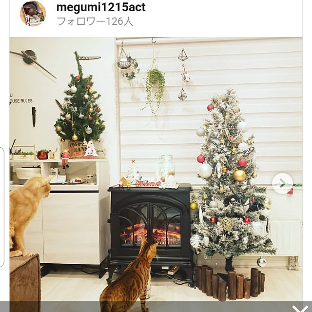 megu.catさんの実例写真