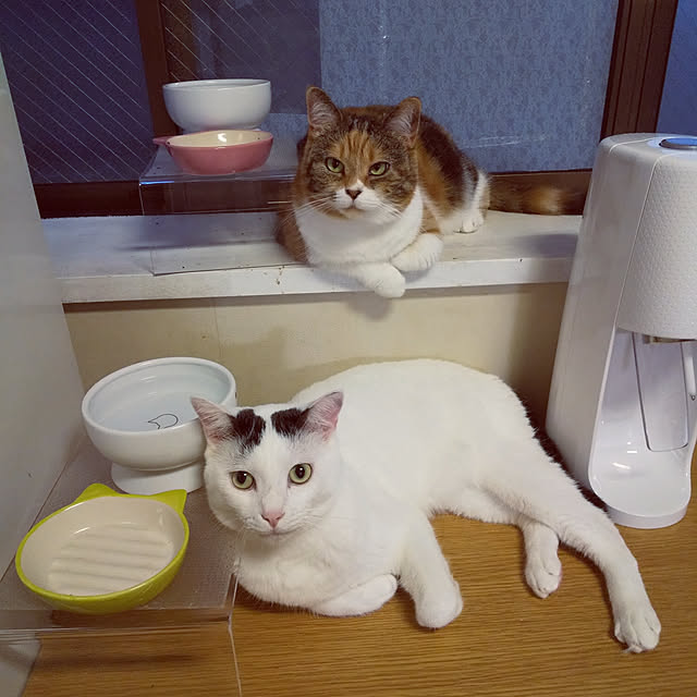 yukieさんの実例写真