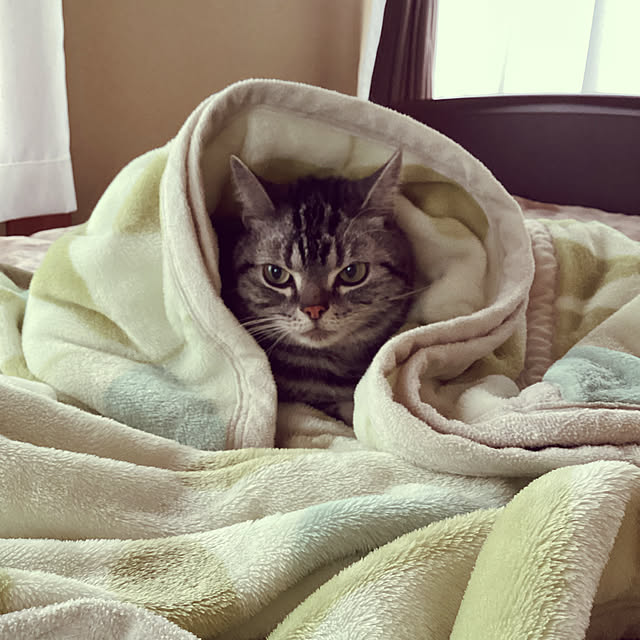 richanさんの実例写真