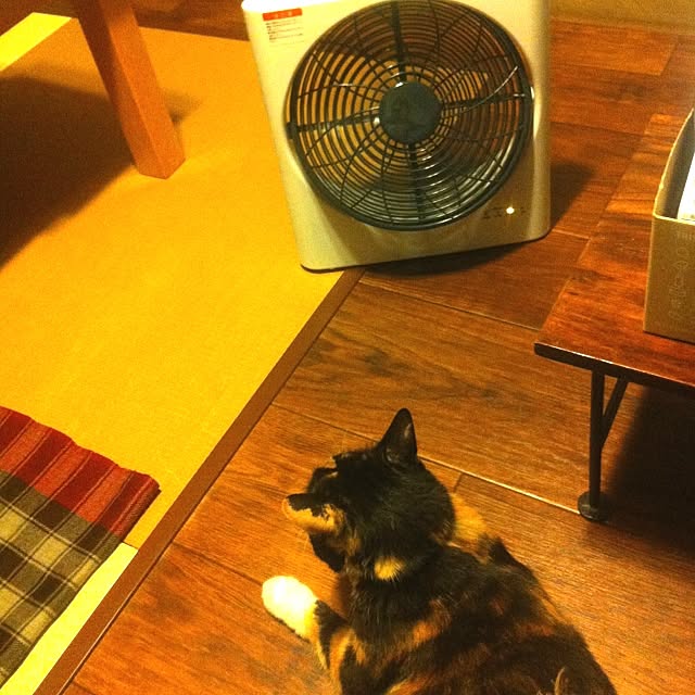 Rieさんの実例写真