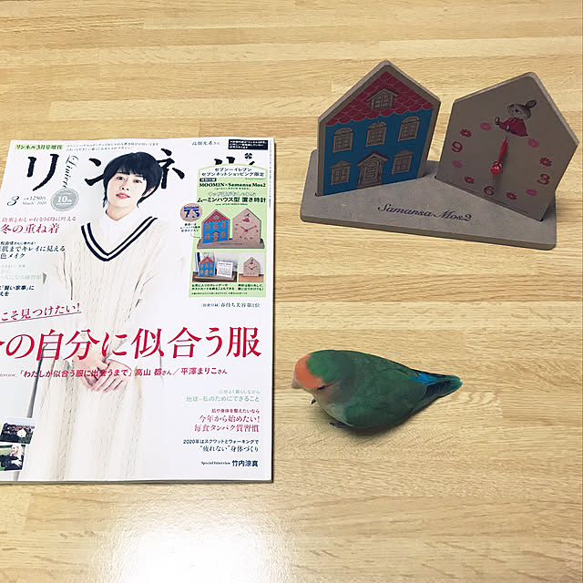 aoinokimiさんの実例写真