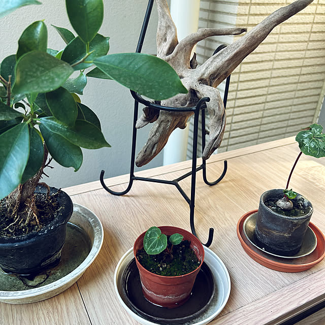 happy-sachiさんの実例写真