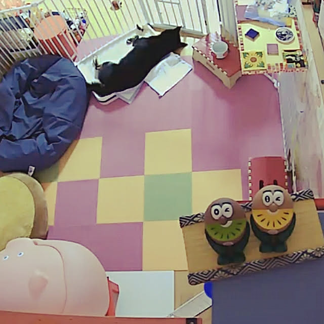 xxxakyxxxさんの実例写真