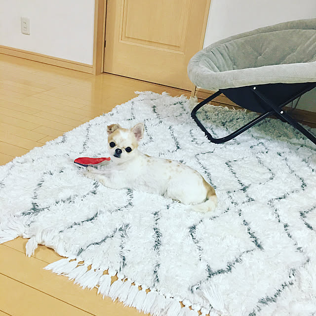 haritakaさんの実例写真