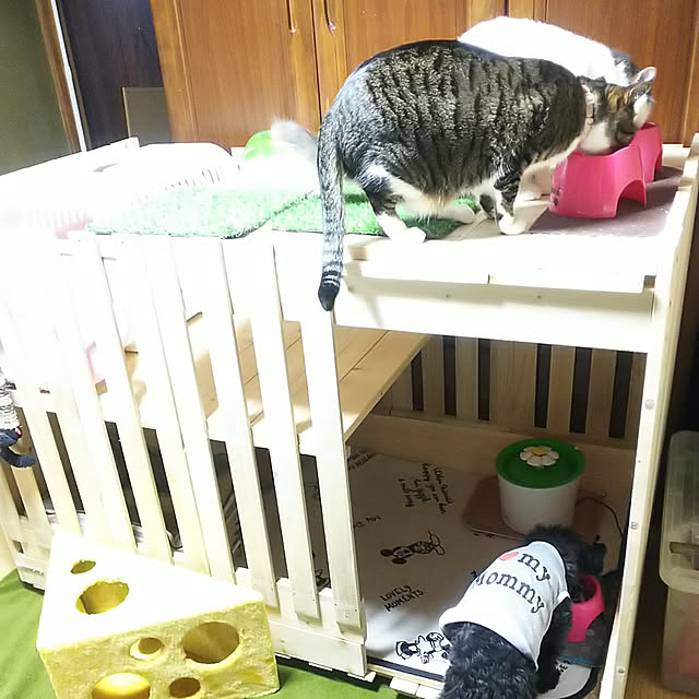 Mikiさんの実例写真