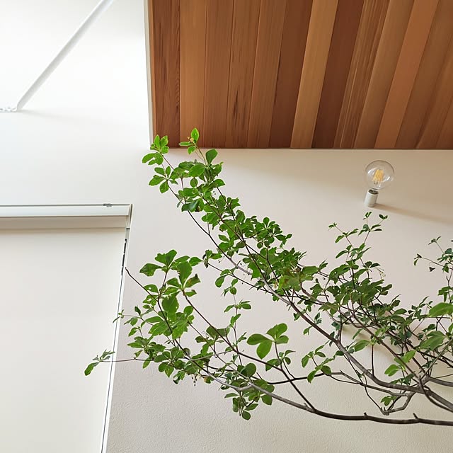 kumako.ieさんの実例写真