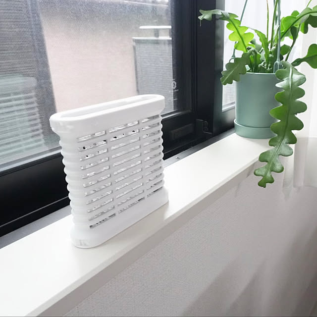 mikeさんの実例写真