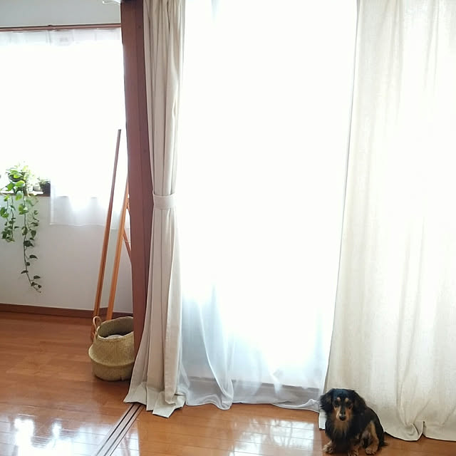 reonさんの実例写真