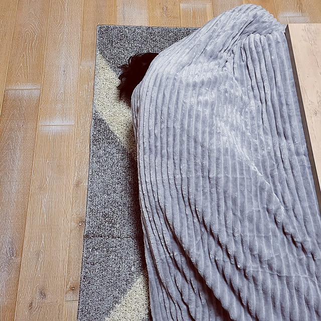 akimameさんの実例写真